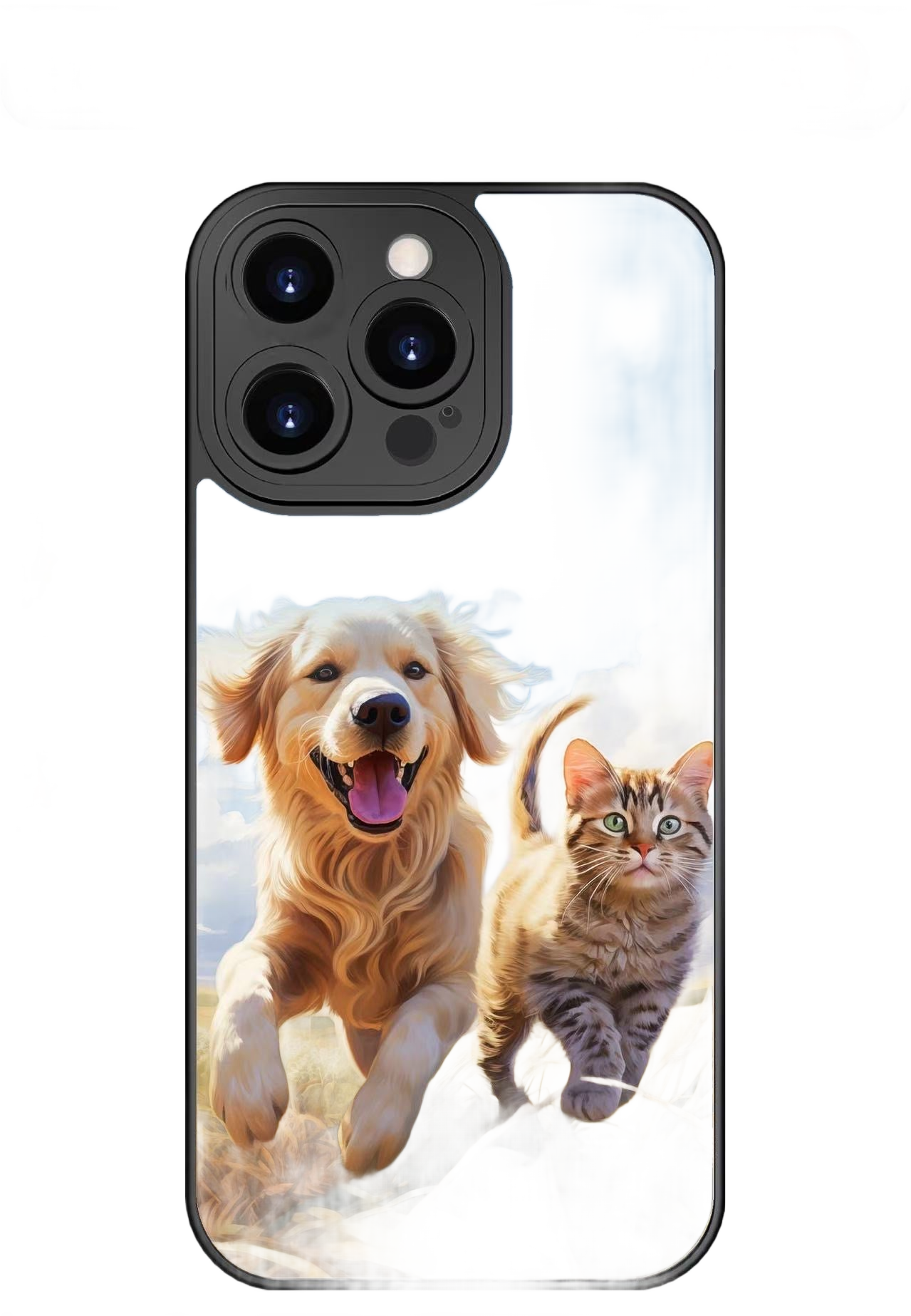 this is a product image