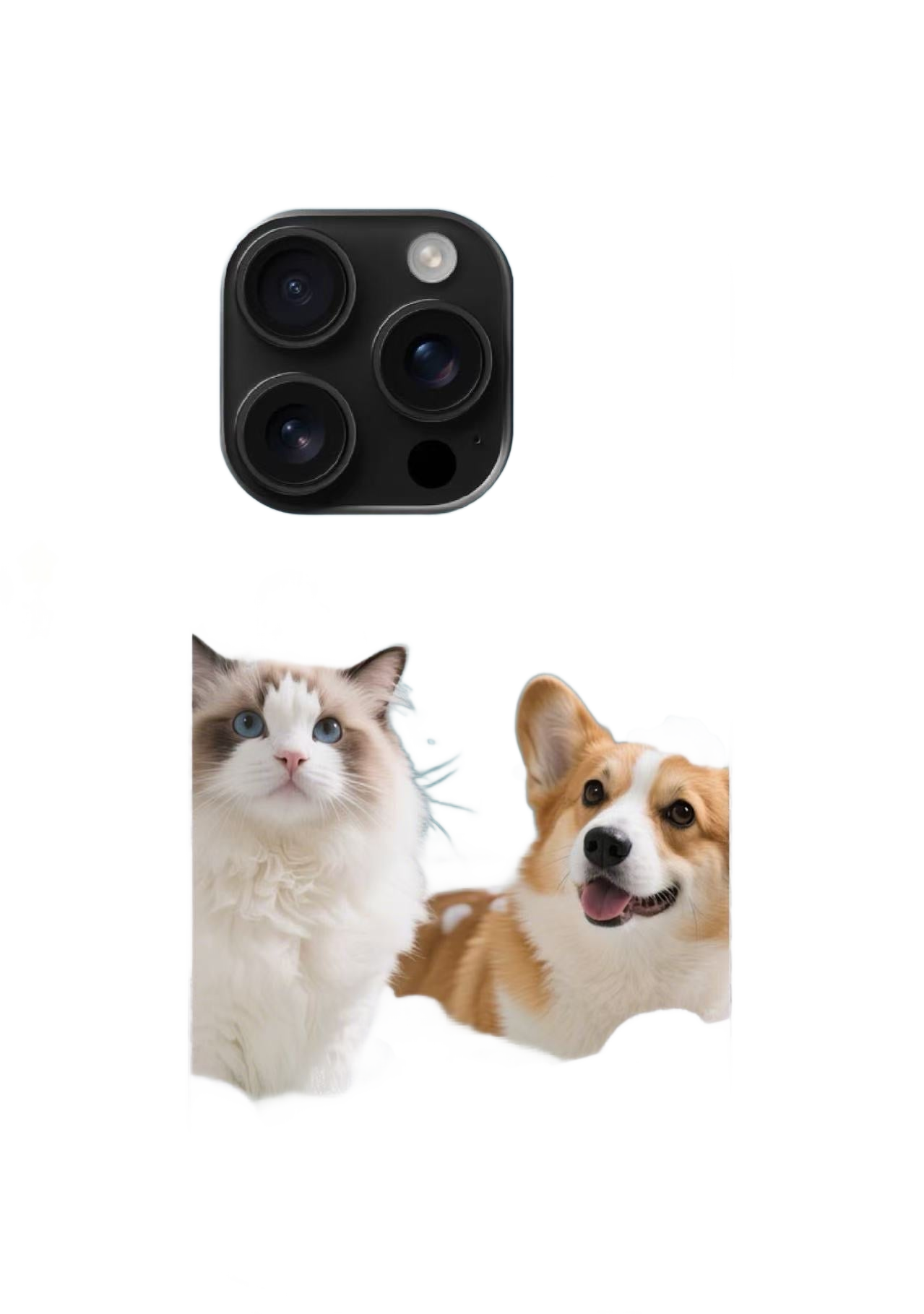 this is a product image