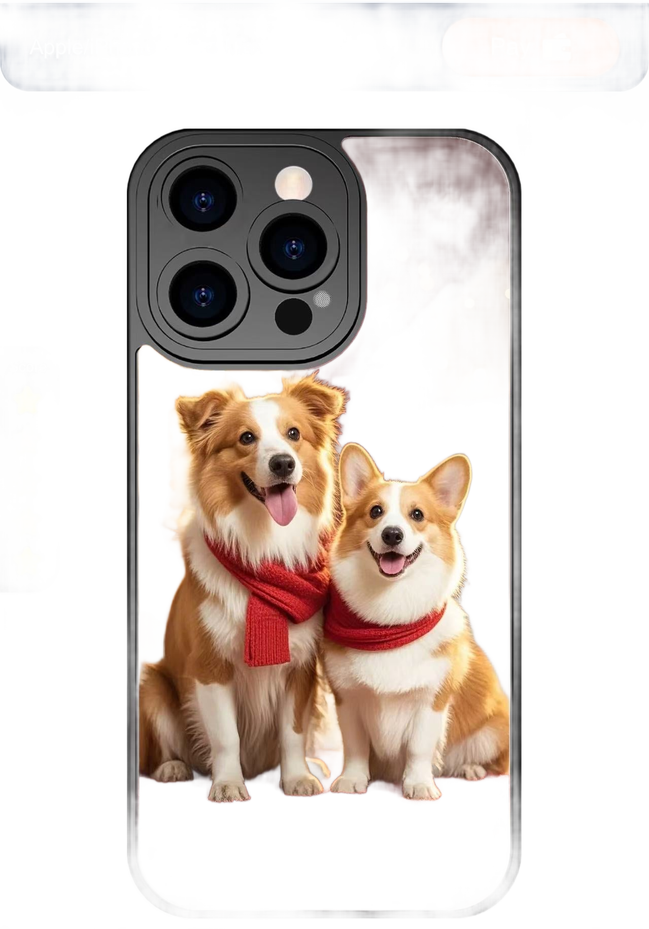 this is a product image